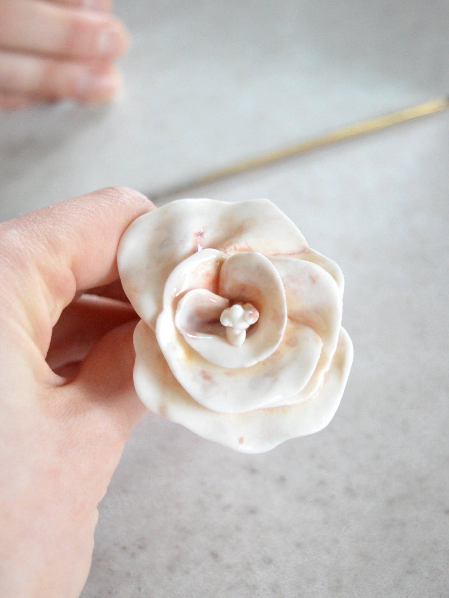 Rosa Acquarello Sette Petali