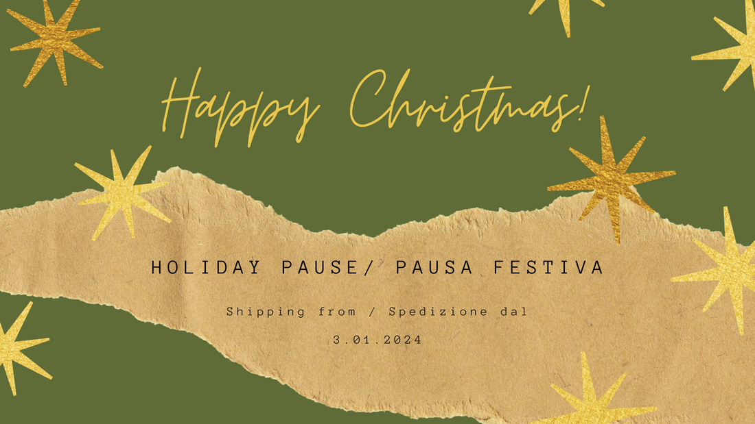 Holiday Pause/ Pausa festiva